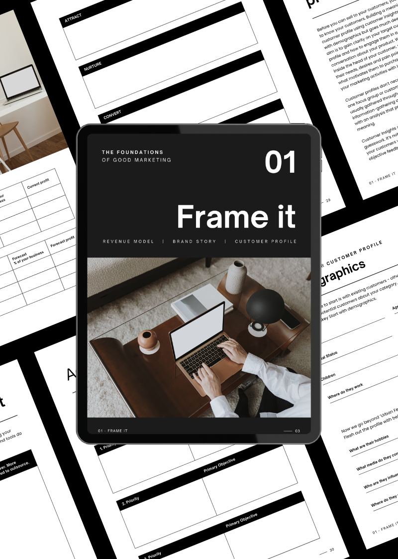 Business Backbone Builder: Brand and Marketing Plan Workbook