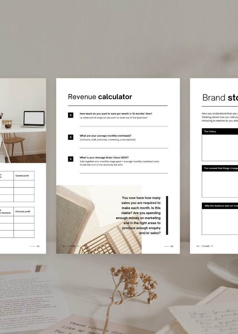 Business Backbone Builder: Brand and Marketing Plan Workbook